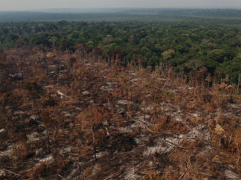 Brasil prevê recuperar 163 mil km² de áreas degradadas até 2030