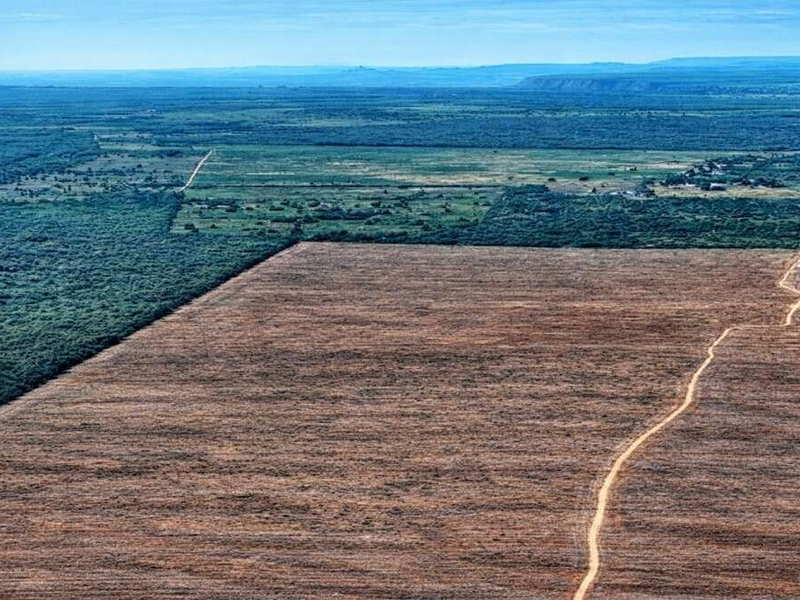 ICMBio emite comunicado após repercussão de novo zoneamento da Chapada do Araripe e nega liberação irrestrita