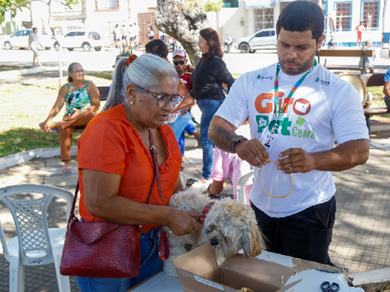 Prazo para inscrição de protetores independentes no Conselho da Causa Animal de Barbalha termina nesta terça (25)