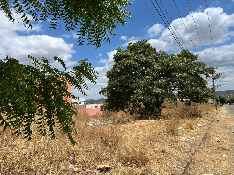 🔴AO VIVO: pedaços de animais mortos e lixo acumulado em terreno causa incômodo para moradores do bairro São José, em Juazeiro do Norte