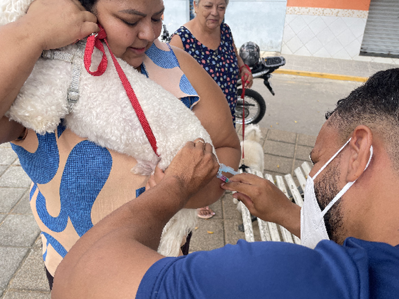 Prefeitura do Crato realiza Dia D de vacinação antirrábica neste sábado (12)
