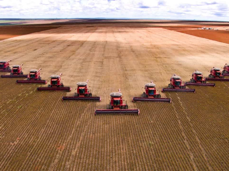 Produção agrícola brasileira alcança recorde de R$ 927,2 bilhões em 2025