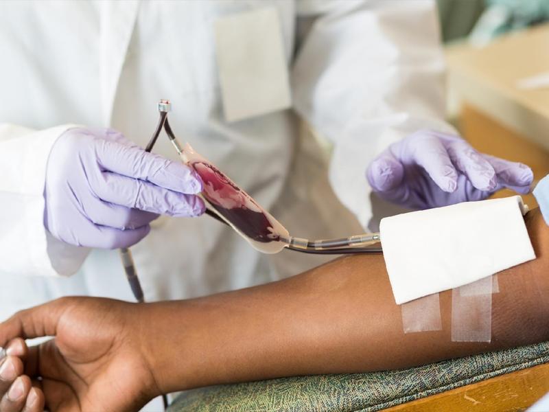 Pessoas com 70 anos ou mais poderão doar sangue se estiverem saudáveis