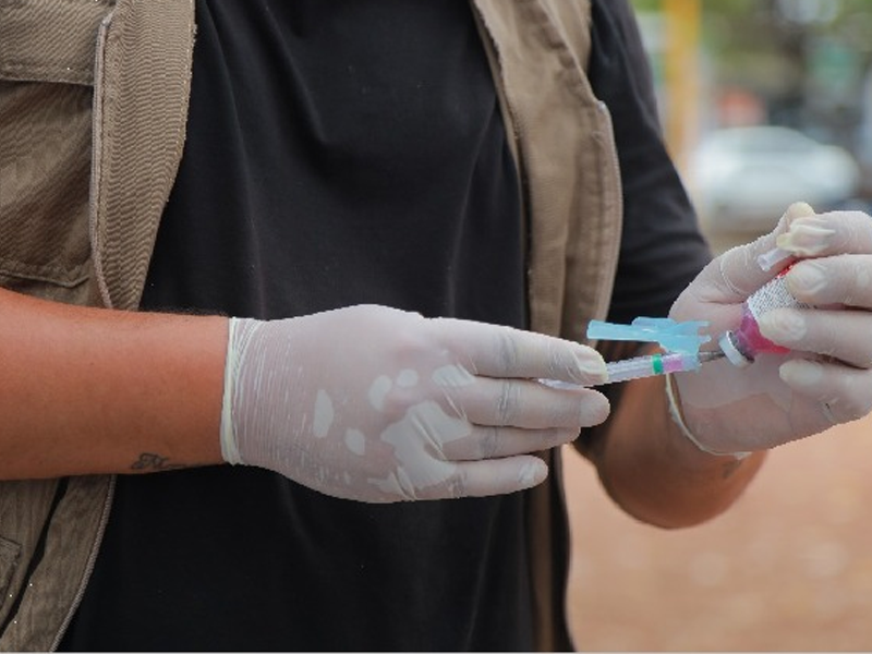 Pontos volantes de vacinação antirrábica acontecerão a partir de 6 de outubro, em Juazeiro do Norte