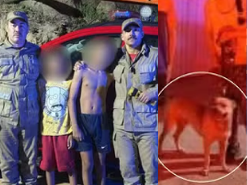 Latidos de cão ajudam bombeiros a encontrar irmãos com TEA perdidos em mata no Ceará