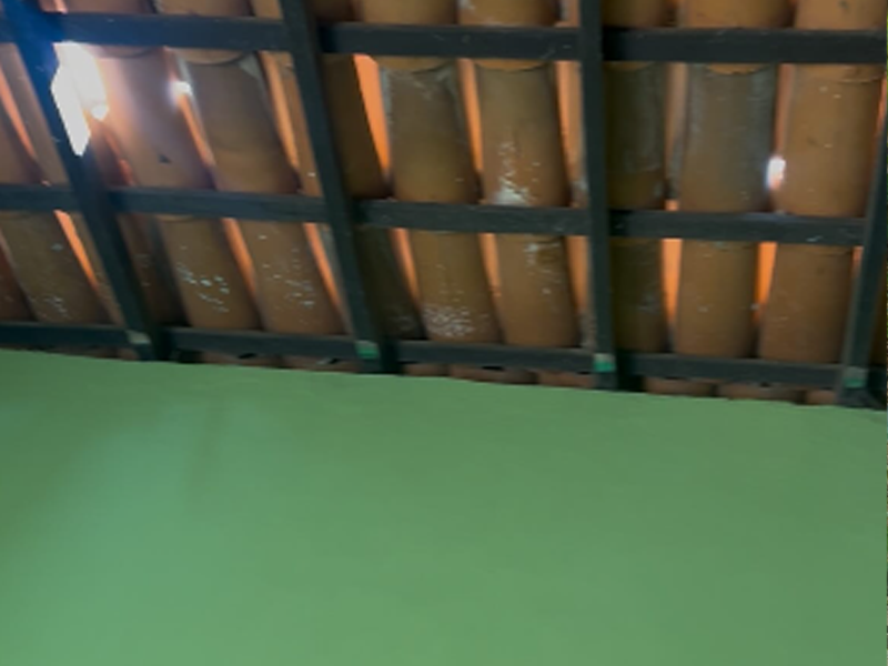 Vídeo: Pedras jogadas contra telhado de casa: idosa vive situação no Horto a quase um mês sem solução