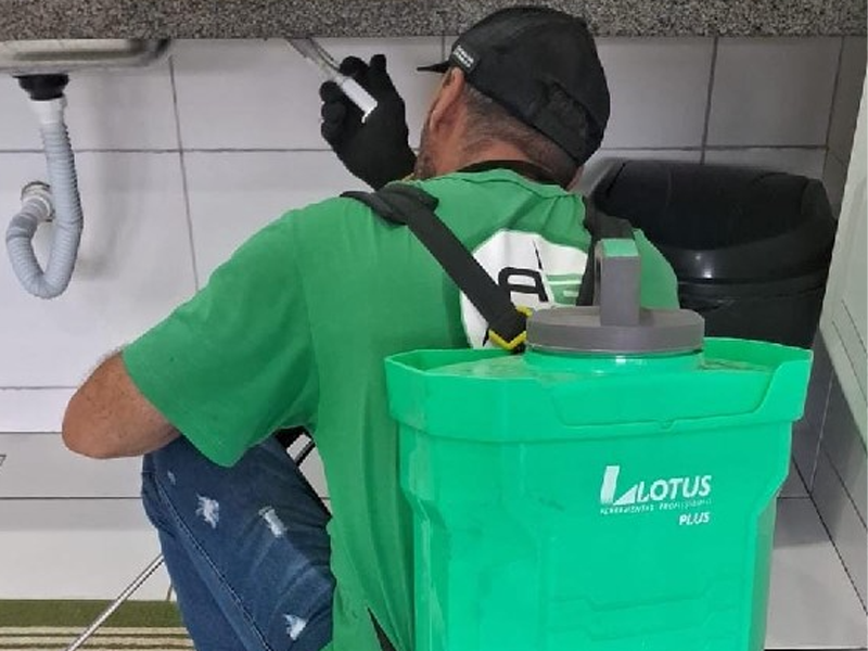 Juazeiro do Norte realiza serviços de dedetização em escolas e prédios administrativos da Seduc