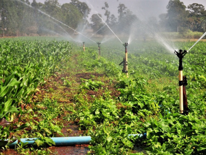 Fatec Cariri abre curso de Gestão do Agronegócio com ingresso em 2027