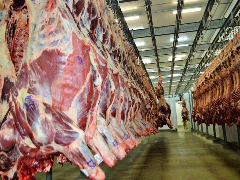 Carne bovina brasileira passa a pagar tarifa de 67% para entrar na China