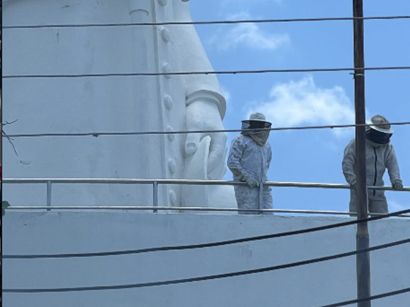 🔴AO VIVO: ataque de abelhas é registrado no acesso à estátua do Padre Cícero, no Horto, em Juazeiro do Norte